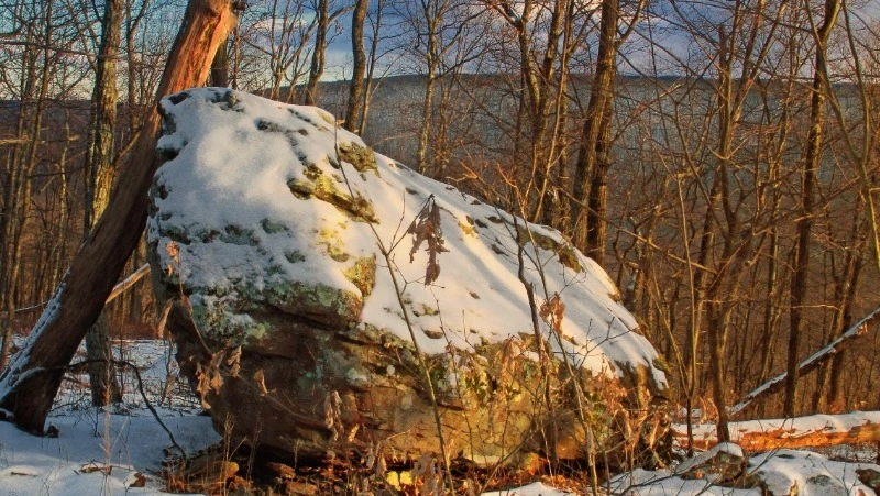 Церковный праздник 7 ноября 2023 года: что нельзя делать в этот день