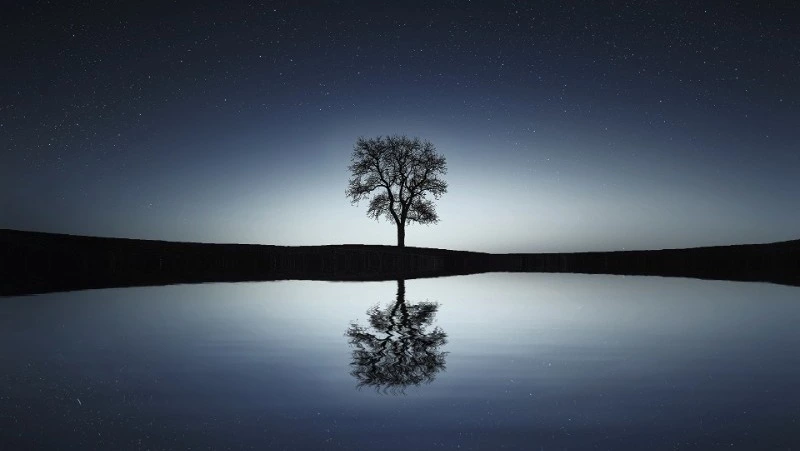 Гороскоп на 27 января 2024 года: важные советы астрологов