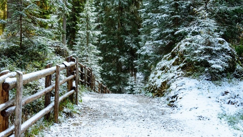 Церковный праздник 6 февраля 2024 года: что категорически нельзя делать в этот день