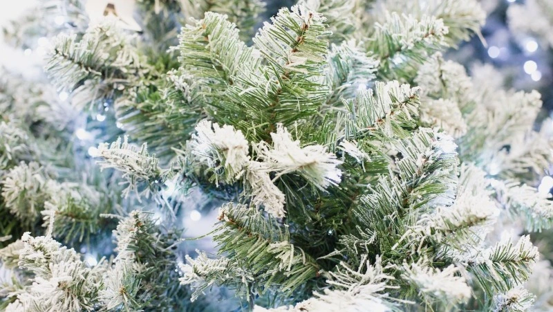 Народные приметы на 1 января 2025: что нельзя делать в этот день