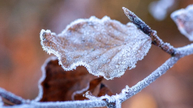 Церковный праздник 28 ноября 2023 года: что нельзя делать в этот день