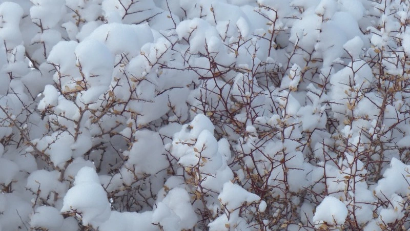 Церковный праздник 22 января 2024 года: что можно и нельзя делать в этот день