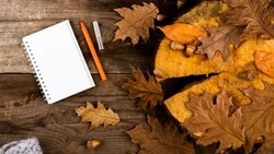 Выходные в октябре 2024: как отдыхаем и сколько будем работать?