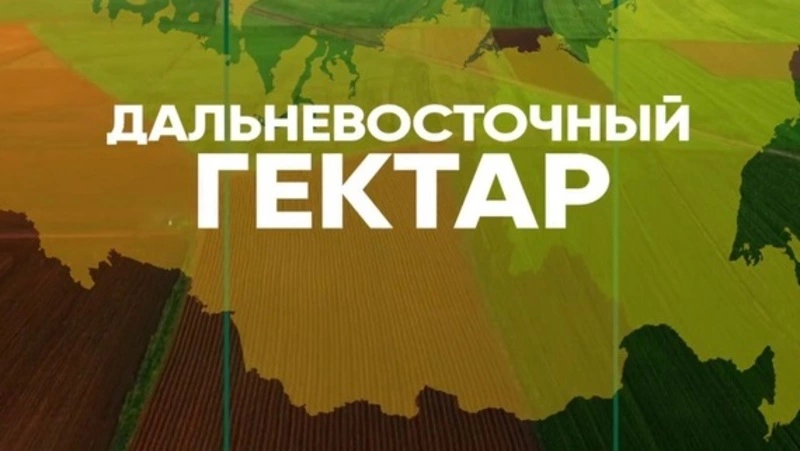 Правительство утвердило критерии для оформления в собственность «Дальневосточного гектара»