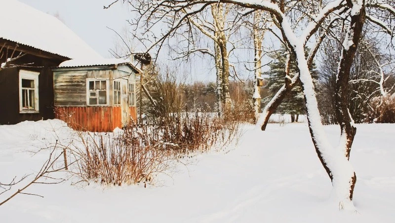 Народные приметы на 10 января 2025 года: что нельзя делать в этот день