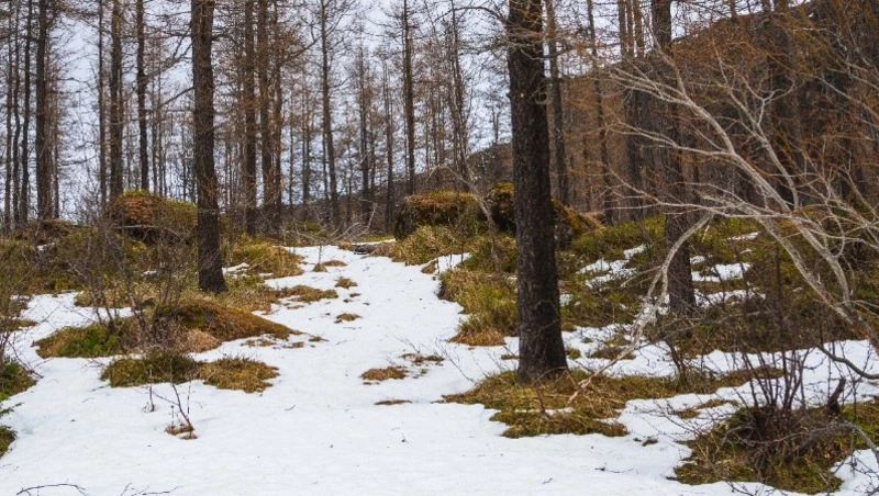 Народные приметы на 16 февраля 2024: что нельзя делать в этот день