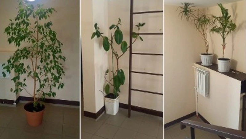 Продолжается ежемесячное голосование за лучший подъезд!