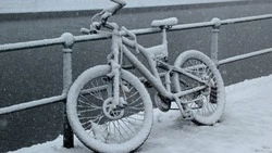 Сильный снег и метель в нескольких районах: погода на Сахалине и Курилах 28 декабря