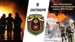 День Специальной пожарной охраны МЧС России 2024: как появился праздник, традиции