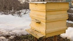 Церковный праздник 4 февраля 2025: что нельзя делать в Тимофеев день