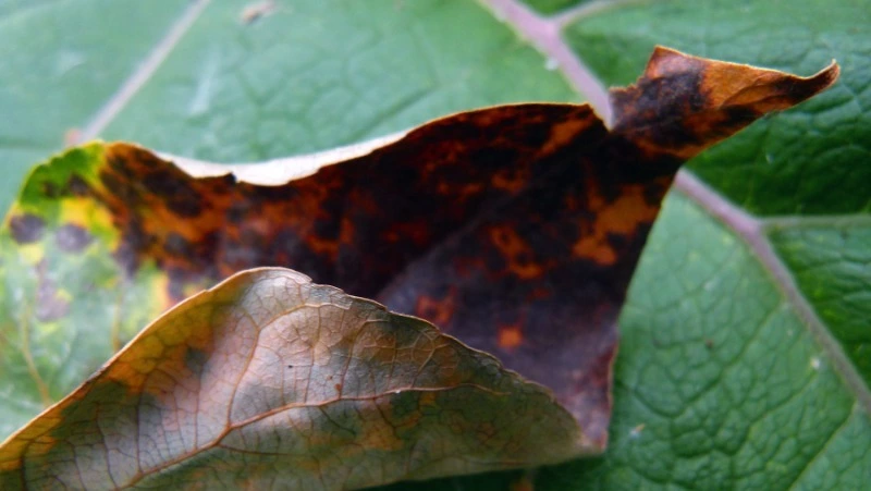 Церковный праздник 9 ноября 2023 года: что нельзя делать в этот день