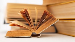 Тест на общие знания: 10 вопросов для прокачки интеллекта, справитесь?