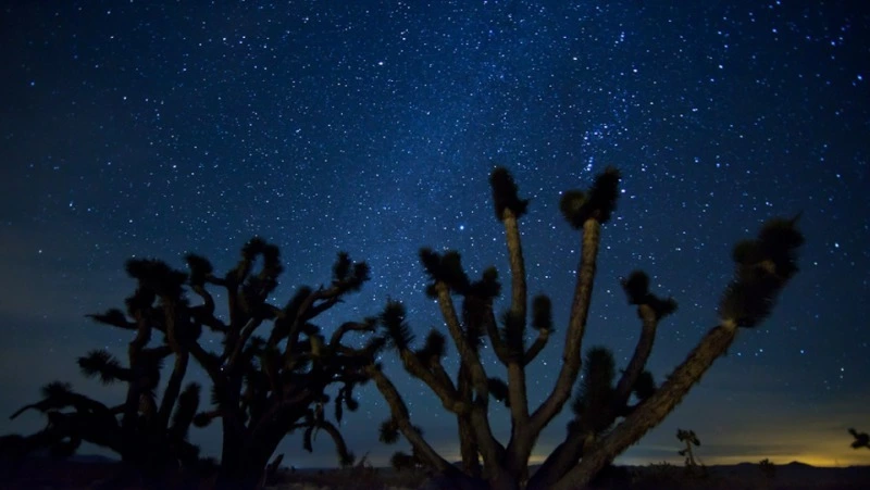 Гороскоп на 10 июня 2024 года: важные рекомендации астрологов