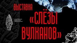 Краеведческий музей приглашает посмотреть на "Слезы вулканов"