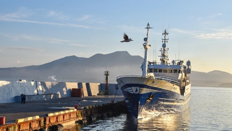 Рыбопромышленные предприятия Кунашира и Шикотана развиваются