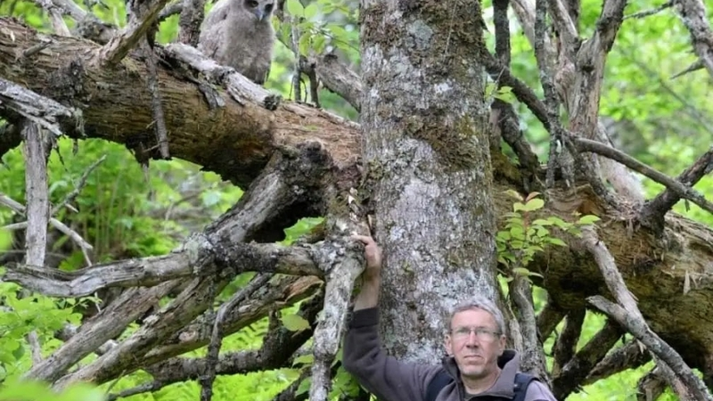 10 февраля заповедник «Курильский» отмечает  37-ой День рождения