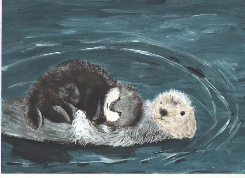 На Кунашире и Шикотане ко Дню морских млекопитающих провели экологические мероприятия