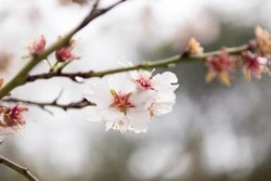 Гадание по картинке на май 2024 года: получите ответы на важные вопросы