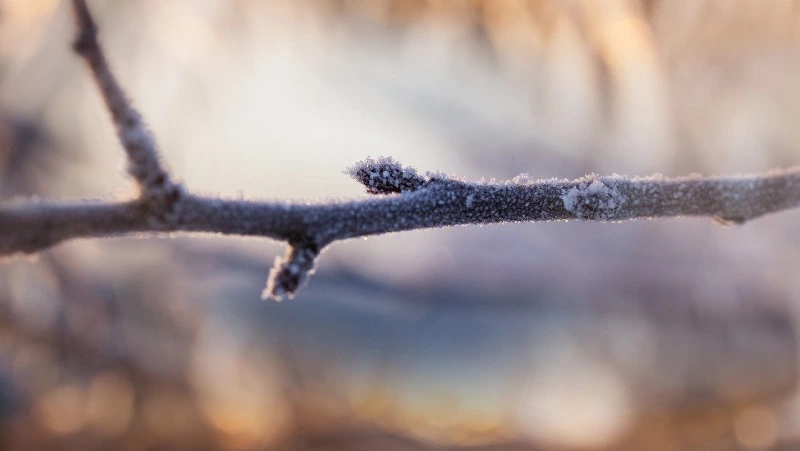 Народные приметы на 1 февраля: что нельзя делать в этот день