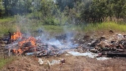 Пожарные ликвидировали возгорание в Южно-Курильском районе