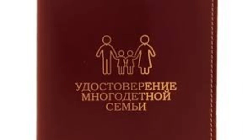 Многодетным семьям стало доступно оформление специального цифрового удостоверения