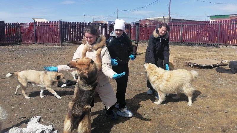 «Первые» продолжают помогать бездомным животным