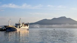 Южно-Курильский рыбокомбинат – его история