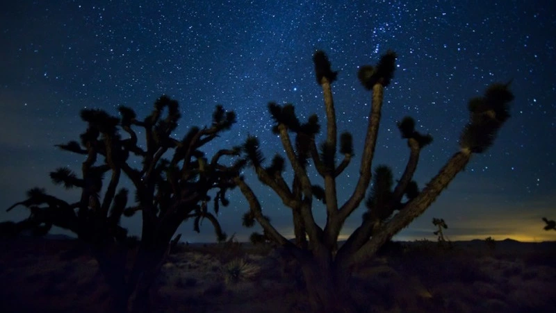 Гороскоп на 7 апреля 2024 года: важные рекомендации астрологов