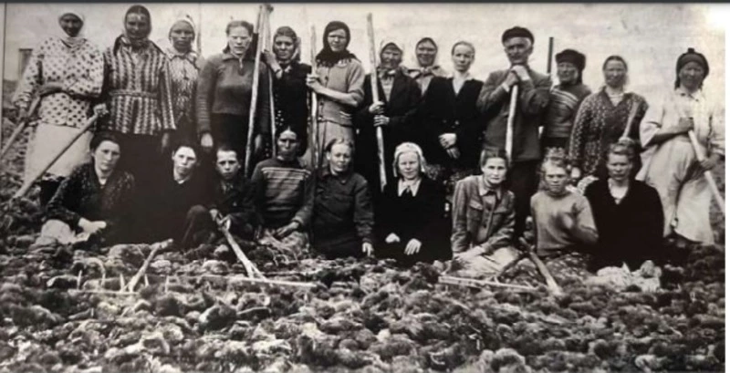 Из истории Южно-Курильского района