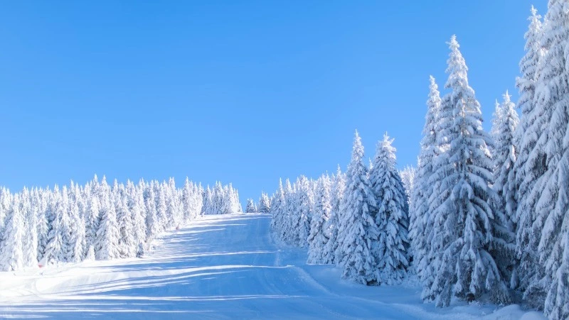 Церковный праздник 11 февраля 2024 года: что категорически нельзя делать в этот день