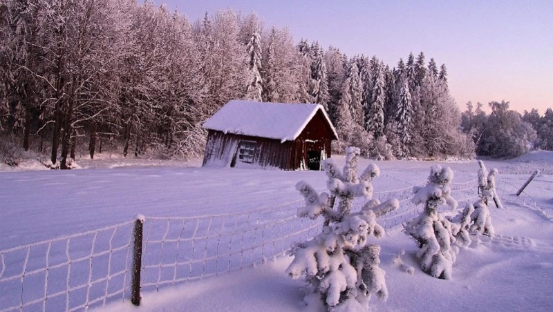 Церковный праздник 14 января 2025: что нельзя делать в Васильев вечер