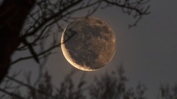 Новолуние в Деве 3 сентября 2024 года: что советуют астрологи