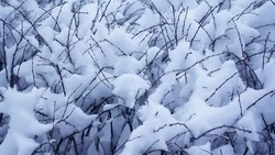 Снег и ветер с порывами до 25 м/с ожидаются в Сахалинской области 27 февраля