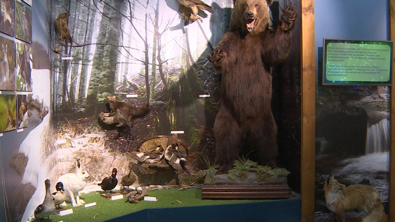 Сотрудники Южно-Курильского музея готовы показать посетителям спрятанные артефакты