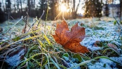 Прогноз погоды в Сахалинской области на 11 октября 2023 года
