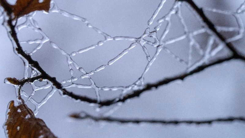 Народные приметы на 19 марта 2024: что нельзя делать в этот день