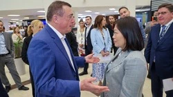 Логистический центр компании Wildberris будет построен в Анивском районе
