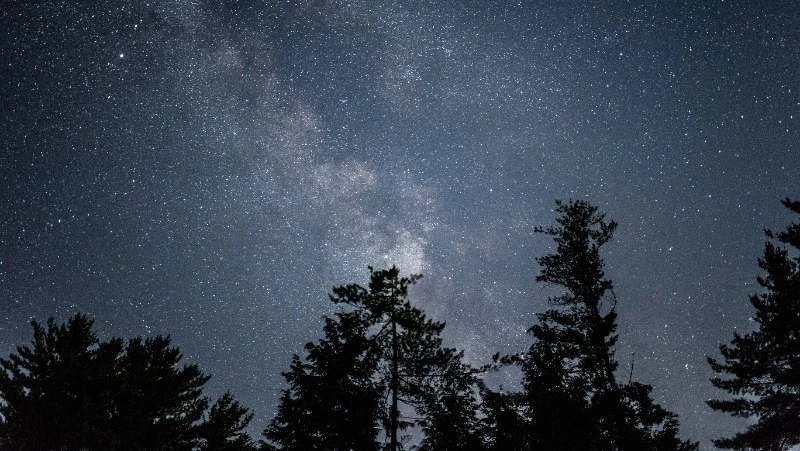 Гороскоп на 14 апреля 2024 года: важные рекомендации астрологов