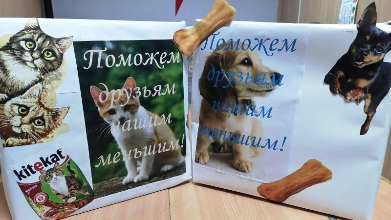Волонтеры проводят благотворительную акцию по сбору корма для бездомных животных