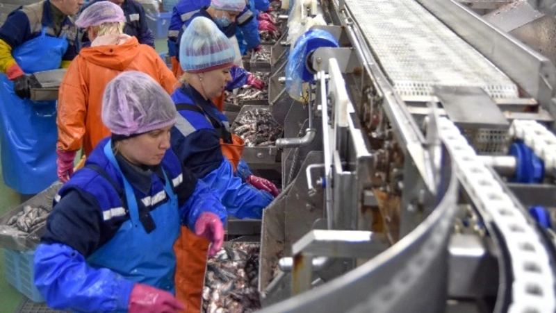 ИНФОРМАЦИОННАЯ СПРАВКА  о работе рыбохозяйственного комплекса Южно-Курильского района