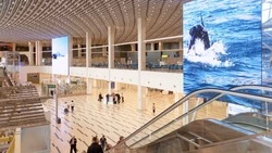 Аэровокзал «Южно-Сахалинск» перешёл на новое расписание работы