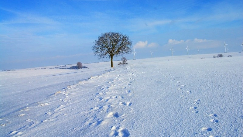 Церковный праздник 30 декабря 2023 года: что нельзя делать в этот день