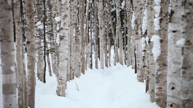 Народные приметы на 3 февраля 2024: что нельзя делать в этот день