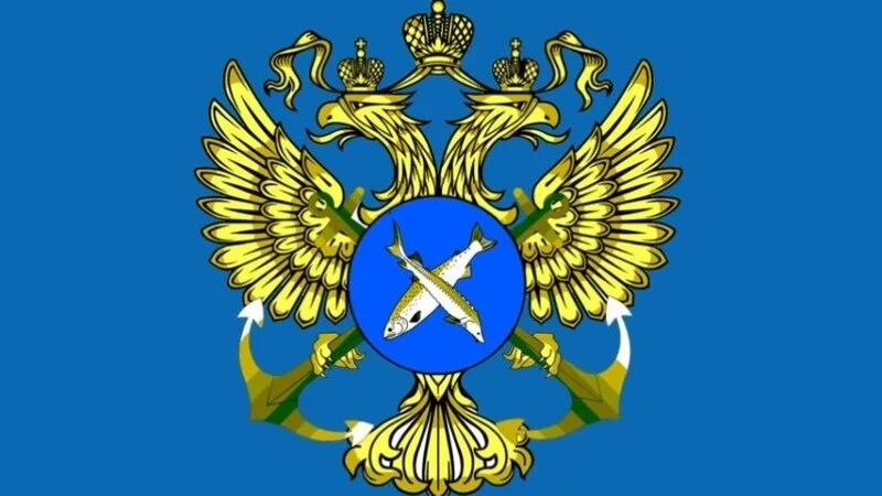 Иван Радченко занял должность и.о. руководителя агентства по рыболовству Сахалинской области