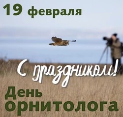 Картинки и открытки на День орнитолога 2025