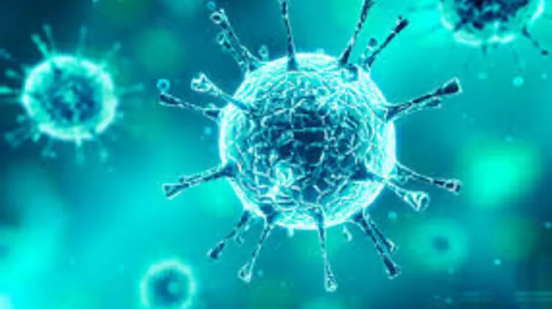 Коронавирус: главное