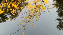 Тепло и дождливо будет на Сахалине и Курилах 3 сентября