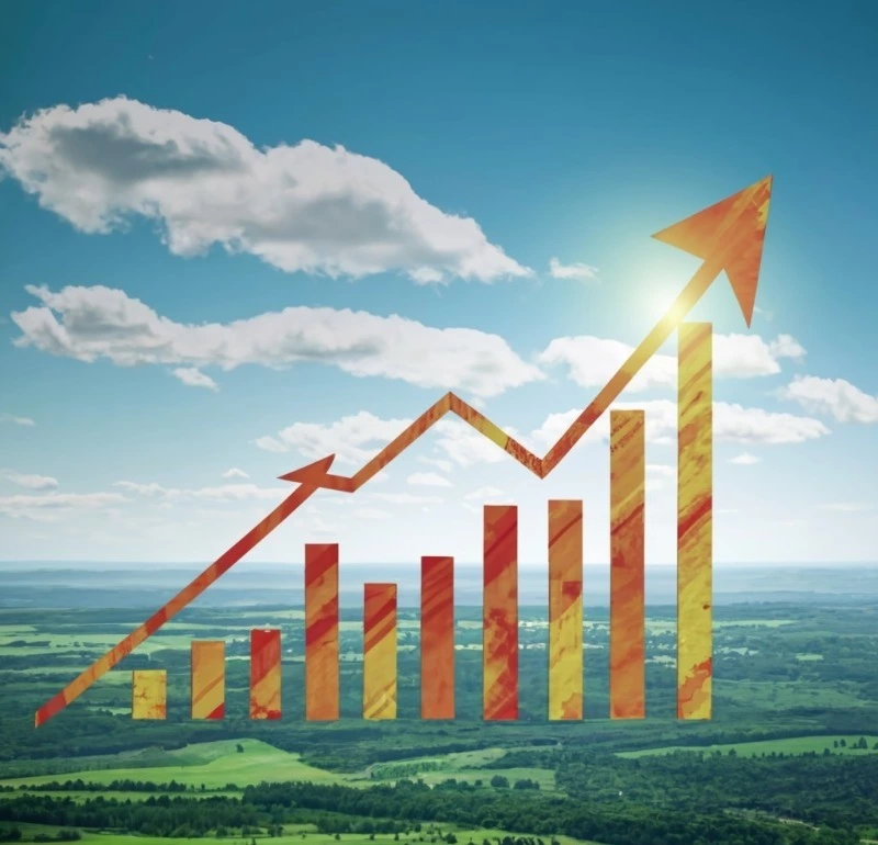 "Эксперты связывают развитие экономики Сахалинской области с работой правительства"