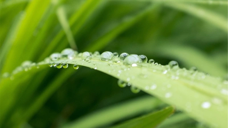 Приметы на 7 июня 2024 года: что нельзя делать в этот день