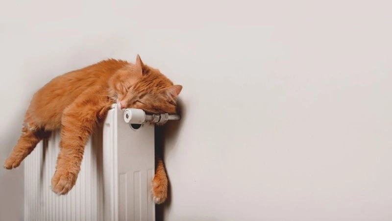 В Сахалинской области завершаются подготовительные работы к отопительному сезону 2024-2025